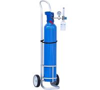 Support portable pour bouteille d'oxygène - Chariot médical pour bouteille de gaz avec sangles - Support à roulettes pour réservoirs d'oxygène (diamètre : 235 mm)