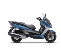 Support Porte-Bagages Arrière ARIIC CHINF 318 (21>)