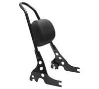 Support Porte-bagages Moto Pour Sportster 883 Low Pour XL883L 2005-2010 Pour XR1200X XR1200X 2011-2012 Porte-bagages Moto Amovible Avec Sissy Bar