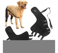 Support pour chien avec clé de hanche - Stabilisateur de jambes arrière pour soulager les douleurs au genou et aux articulations | Couverture de protection pour plaie et protection contre les