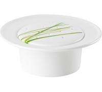 Support pour cure-dents, GRASS