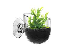 Support pour D'aquarium en Acrylique Transparent - Pot De Aquatiques À Ventouse pour La Propagation Et Le Jardinage sous- dans Un Aquarium, Un Terrarium De Crevette