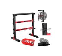 Support pour disques d'haltères HS-1007A, Râtelier de Rangement pour Haltères et Barres de musculation, Rack de Rangement Poids avec Charge Jusqu'à