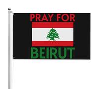 Support pour drapeau 2x3 avec drapeau de Beyrouth - Pas besoin de mât, décoration de festival, recto verso