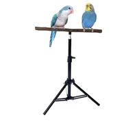 Support pour oiseaux pour la intérieure, base de trépied réglable et pliable comme espace de vie, calopsitte, support pour oiseaux, maison, intérieur, extérieur, entraînement, jardin, terrasse