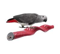 Support pour perchoir à oiseaux - Fournitures d'affûtage de griffes d'oiseaux | Bâton givré | Pour perruches et perruches d'Afrique Munias Mynas Pet Store pour amateurs d'avions centres de sauvetage