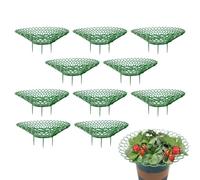Support pour plantes de fraises | Support de croissance robuste | Pour fleurs, fruits, serres, jardin, extérieur, intérieur et légumes