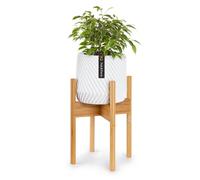 Support pour plantes Fox & Fern Mid Century Modern Support pour plantes d'int rieur