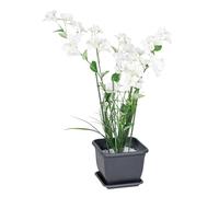 Support pour plantes vivaces avec 3 anneaux, Ø env. 14-18 cm