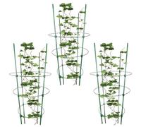 Support Pour Plants De Tomates Cadre Pliable Et Robuste | Lot De 3 Cages À Concombres Grimpants Pour Fleurs Clématite Raisin Fraisier Vignes Intérieur Extérieur Jardin Arrière-Cour