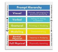 Support Prompting Poster Special Education Hierarchy Chart