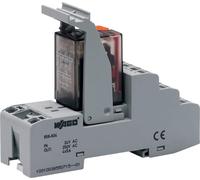Support relais WAGO 858-504 5 pc(s)