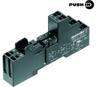 Support relais Weidmüller SRC-I 2CO P 8869500000 10 pc(s)