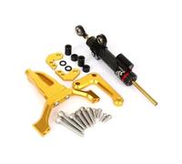 Support Stabilisateur Amortisseur Direction CNC Moto pour Yamaha MT-09 MT09 MT 09 2024 2025 Kit Montage Amortisseur Directions Moto Stabilisateur Support(Ensemble 10)