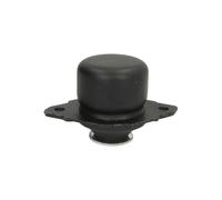 Support, suspension du moteur REINHOCH RH11-0130