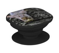 Support Téléphone Extensible - Écureuil Roux Mange Une Noisette sur Un Tronc - Poignée Grip de Maintien et Stand Vidéo pour Smartphone Compatible Tous Modèles Imprimé en France