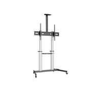 Support TV Fixe - Aisens - FT100TE-259 - 100 kg - 60 pouces - Multicolore