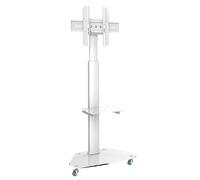 Support TV LCD LED Mobile 37-70 Pouces Jusqu'à 40 Kg, MyWall HP1DWL Blanc