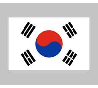 Supportershop-Supportershop Flgnsko Drapeau Mixte Adulte, Noir, 150 x 90 cm
