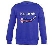 Supportershop Sweatshirt à Capuche Islande Homme, Bleu Royal, FR : L (Taille Fabricant : L)