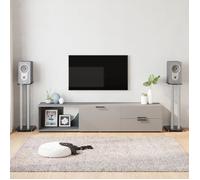 vidaXL Supports de haut-parleurs 2 pcs 3 piliers noir/argenté