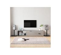 Supports De Haut-Parleurs 2 Pcs Noir Verre Trempé 1 Pilier