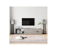 vidaXL Supports de haut-parleurs 2 pcs Noir Verre trempé 3 piliers