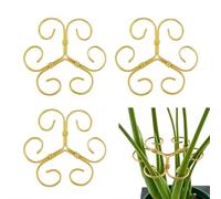 Supports de plantes pour plantes d'intérieur, support de tige Plan-t, support de tige Plan-t pour plantes grimpantes monarques et fleurs de taro, hortensias de tomates