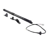 Supports Levage Verin Gaz Pour Toyota Pour RAV4 2013-2018 6891009010 6892009016 Vérins Gaz Hayon Électrique Coffre Arrière Support Levage Ouvre-porte(Left Side)