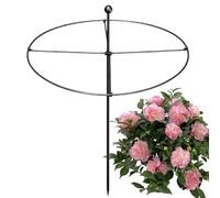 Supports pour Planets de Jardin - Support Rond Symmetric de 17,32 Pouces, Grille métallique Robuste, Longue Tige réglable | Poteau d'extérieur résistant aux intempéries, Pots de légumes pivoines Rose