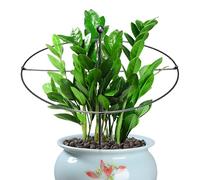 Supports pour Planets de Jardin - Support Rond Symmetric de 17,32 Pouces, Grille métallique Robuste, Longue Tige réglable | Poteau d'extérieur résistant aux intempéries, Pots de légumes pivoines Rose
