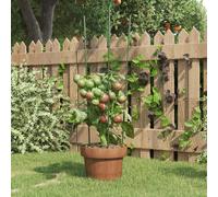 Plantensteunen 5 st met 3 ringen 60 cm staal groen319373