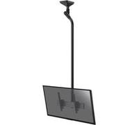 Support plafond inclinable pour 1 écran TV 43''-75'' - Hauteur 225cm