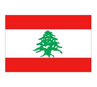 Supstick Lot de 8 Autocollants Stickers Drapeau de Pays Nation Liban Format 3x2cm