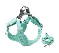 SUPVOX 1 Ensemble Harnais pour Chien Réglable et Laisse Pratique Ensemble de XS Durable et à Usure pour Chiens de Petite pour Promenade et Entraînement