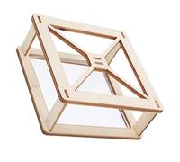 SUPVOX 1 Ensemble Projecteur Holographique Kit DIY Scientifique pour Garçon Fille Expérience Éducative Stimule la Créativité et Imagination pour Apprentissage Équipe des Principes