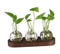 SUPVOX 1 Ensemble Vase à Fleurs Hydroponique Transparent avec Support Kit de Propagation de Plantes pour Décoration de Bureau et Centre de Table Vases pour Intérieur