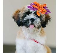 SUPVOX 10 Pièces Nœuds pour Chiens avec Élastique Accessoires de Toilettage pour Chiots Nœuds Décoratifs pour Animaux Parfait pour Halloween et