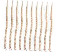 SUPVOX 10 Pièces Serpent Bois Flexible DIY pour Garçon Fille Sensoriel Éducatif Modèle à Peindre Décoration Réaliste et Sécurisée pour Jeux et Apprentissage