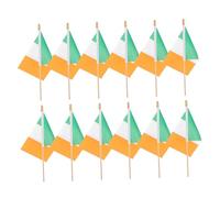 SUPVOX 12 Pièces Mini Drapeaux Irlandais Main Décorations Irlandaises pour Parades Célébrations Événements Poteau