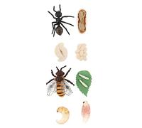 SUPVOX 2 Ensembles Modèles Éducatifs Cycle de Vie Abeille et pour Garçon Fille Pédagogique Sciences Garçon Fille Ans Sûr et Réaliste