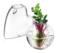 SUPVOX 2 Pcs Jardinières Murales en Verre, Stations de Propagation, Support de Plantes dIntérieur, Pots en Verre Transparent, Forme de Cœur et Semi-Sphère, 14 x 12 x 4,5 cm, avec Clous et