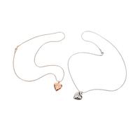 SUPVOX 2 Pièces Collier de Souvenirs pour Animaux Bijoux Collier Pendentif pour Animaux de Compagnie Pendentif de Souvenirs pour commémoratif pour de Compagnie