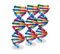SUPVOX 3 pièces Kit Modèle DIY pour Structure Double Hélice Scientifique Jeu Éducatif pour Projets de Sciences Classe