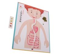 SUPVOX 4 Ensembles Kit Modélisme Digestif DIY pour Tout-Petits Modèle Interactif Système Digestif Humain Expérience Scientifique Éducative pour Apprentissage Créatif et Ludique