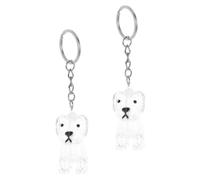 SUPVOX 4 Pièces Porte-clés Collecteur Poils Chien Boîte Souvenirs avec Couvercle Mémorial pour Chien Petite Boîte à Souvenirs pour Porte-clés Poils Animal Commémoratif pour Animaux