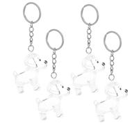 SUPVOX 4 Pièces Porte Clés Transparent pour Poils Animaux Boîte de Rangement Commémorative avec Capsule Claire Accessoire de Souvenir pour Chien pour Conserver Souvenirs de Votre à