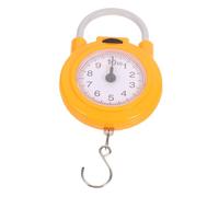 SUPVOX Balance à Ressort Portable avec Crochet Balance de Précision pour Bagages de Voyage Écran Affichage Capteur Haute Précision Robuste et Facile à Transporter pour Usage Domestique