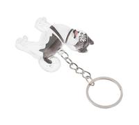 SUPVOX Boîte de Conservation pour Poils Danimaux Transparente Porte Clés Mémoire pour Chien et Chat Capsule Compacte et Étanche pour Collectionner et Garder Poils de Votre Animal Souvenir