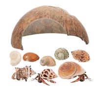 SUPVOX Cachette en Noix De pour Reptiles Grotte Coquillage De Crabe Conque Décoration D'aquarium